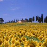 Tuscany villa rental