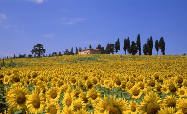 Tuscany villa rental