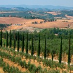 Val d'Orcia